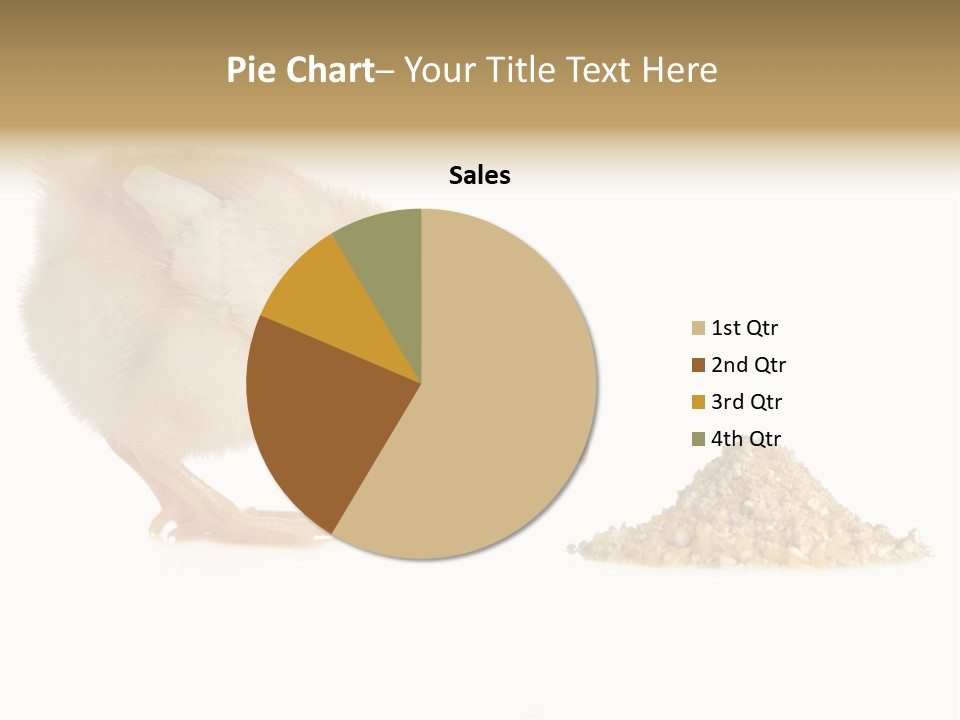 Fleecy Hen Hairy PowerPoint Template