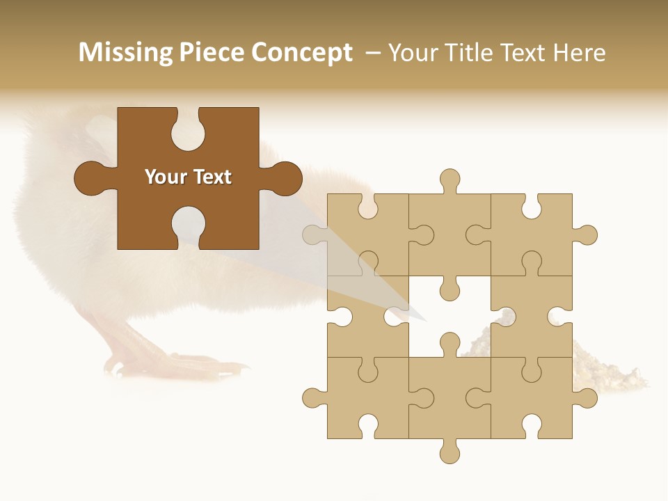 Fleecy Hen Hairy PowerPoint Template