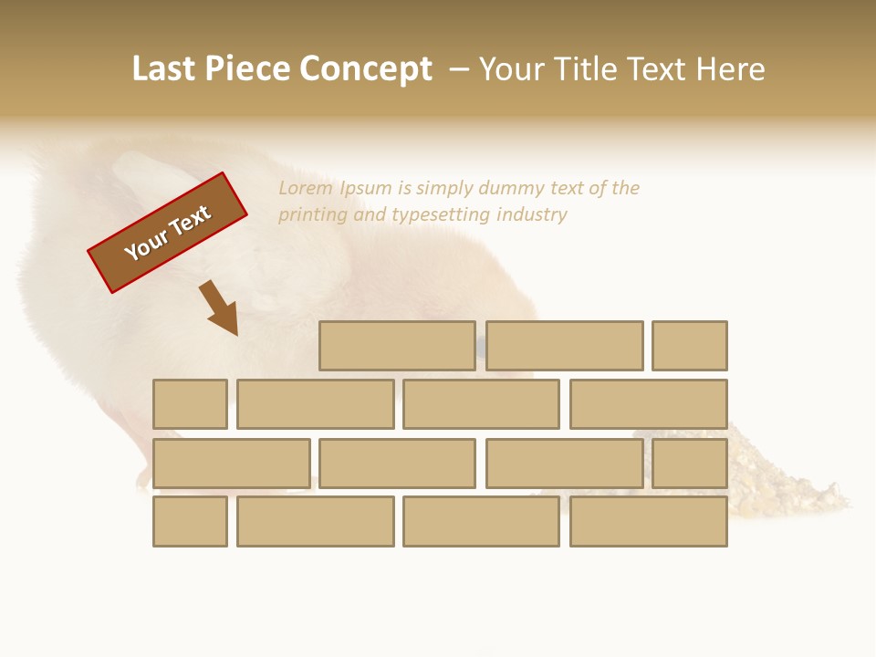 Fleecy Hen Hairy PowerPoint Template