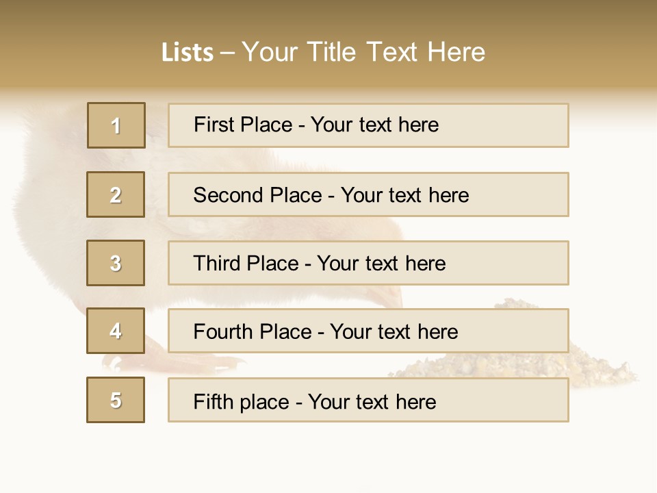 Fleecy Hen Hairy PowerPoint Template