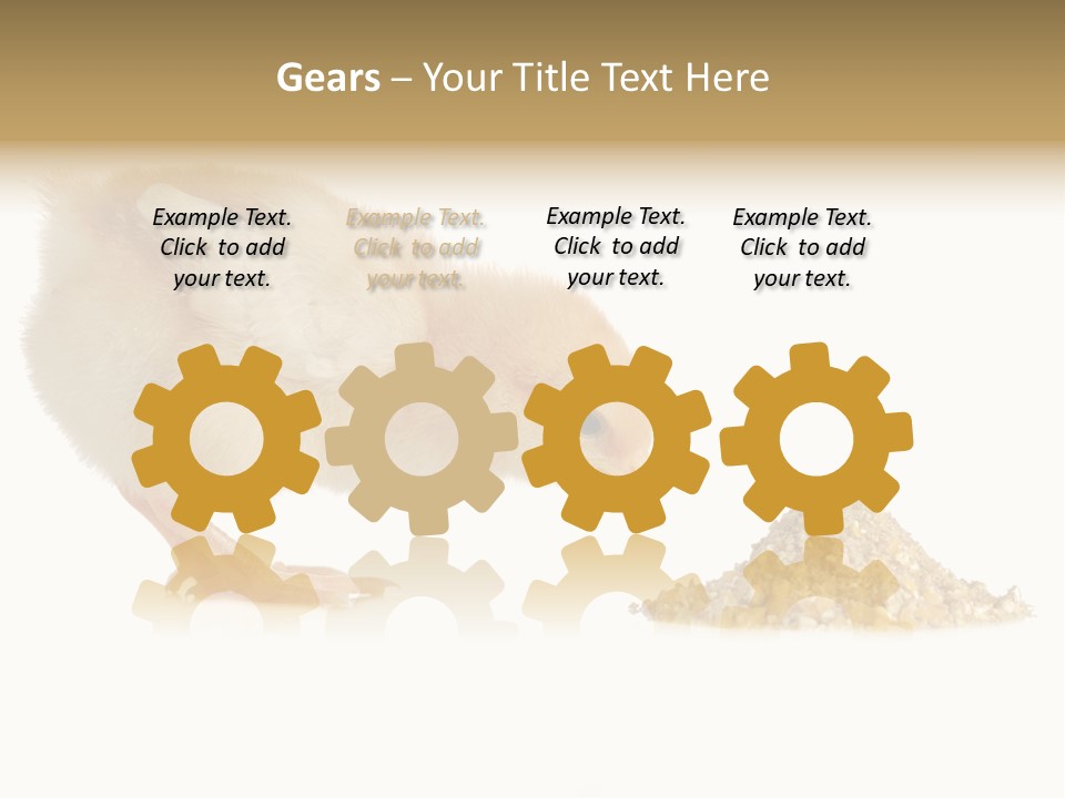 Fleecy Hen Hairy PowerPoint Template