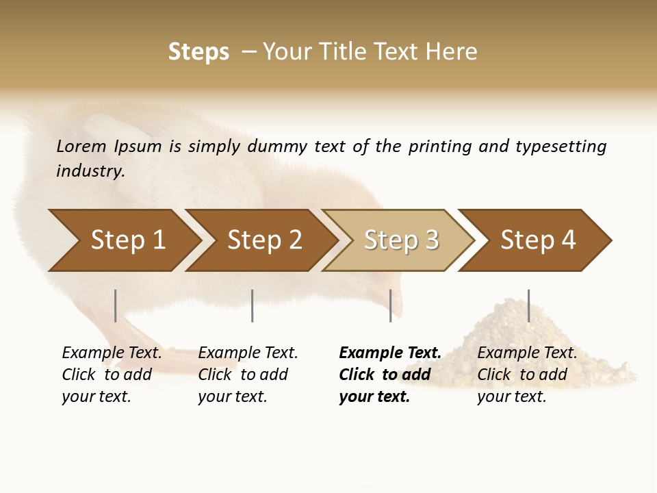 Fleecy Hen Hairy PowerPoint Template