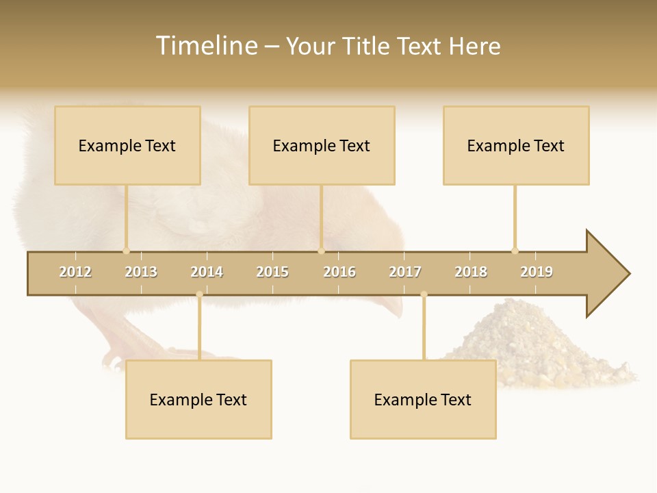 Fleecy Hen Hairy PowerPoint Template