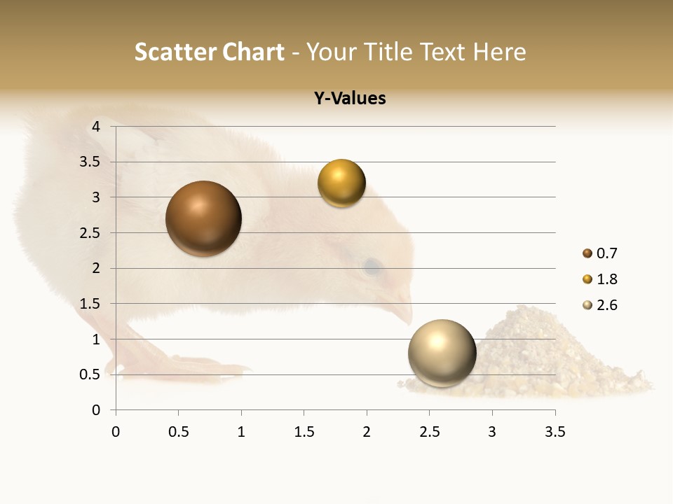 Fleecy Hen Hairy PowerPoint Template