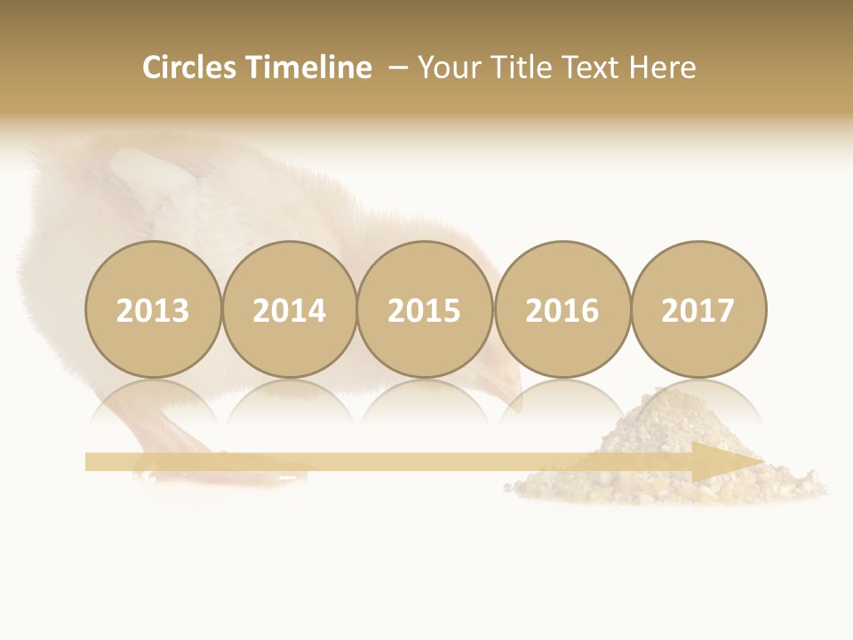 Fleecy Hen Hairy PowerPoint Template