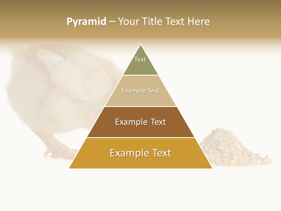 Fleecy Hen Hairy PowerPoint Template