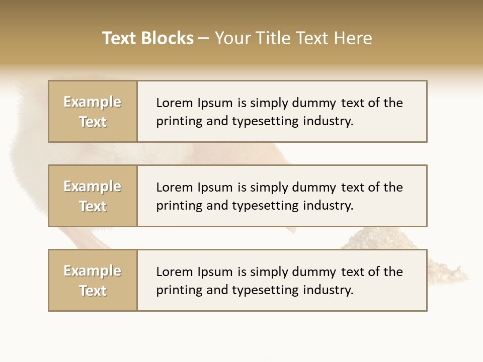 Fleecy Hen Hairy PowerPoint Template