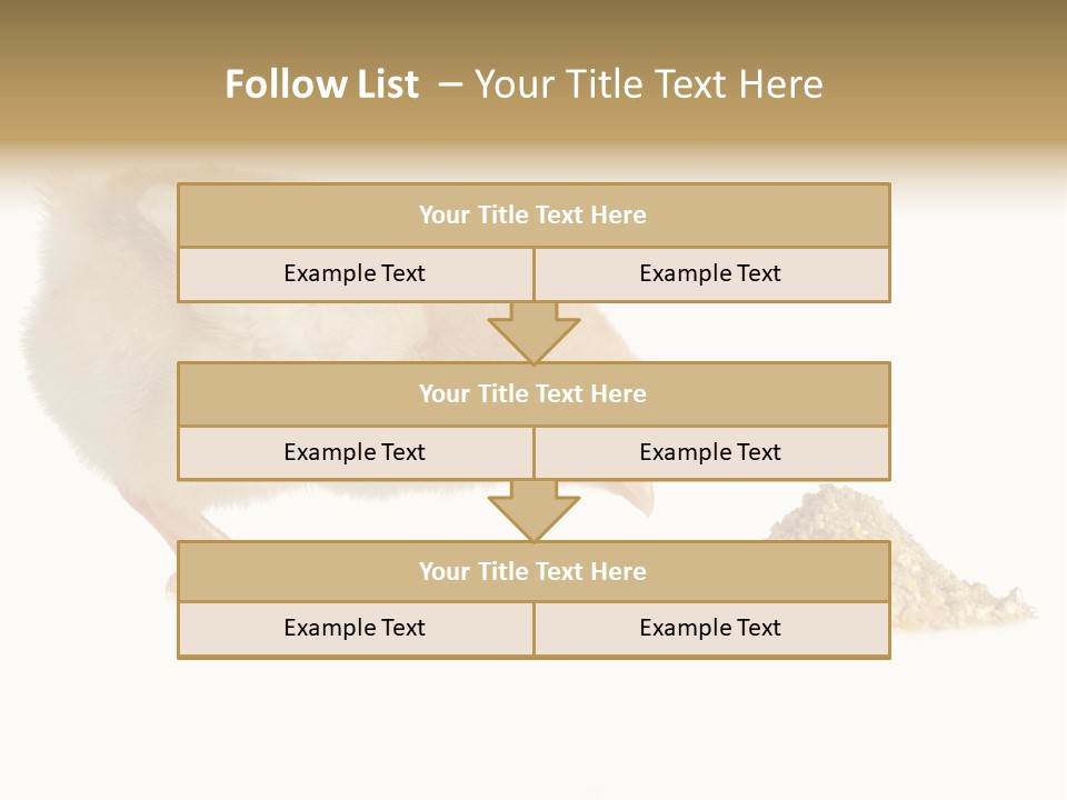 Fleecy Hen Hairy PowerPoint Template