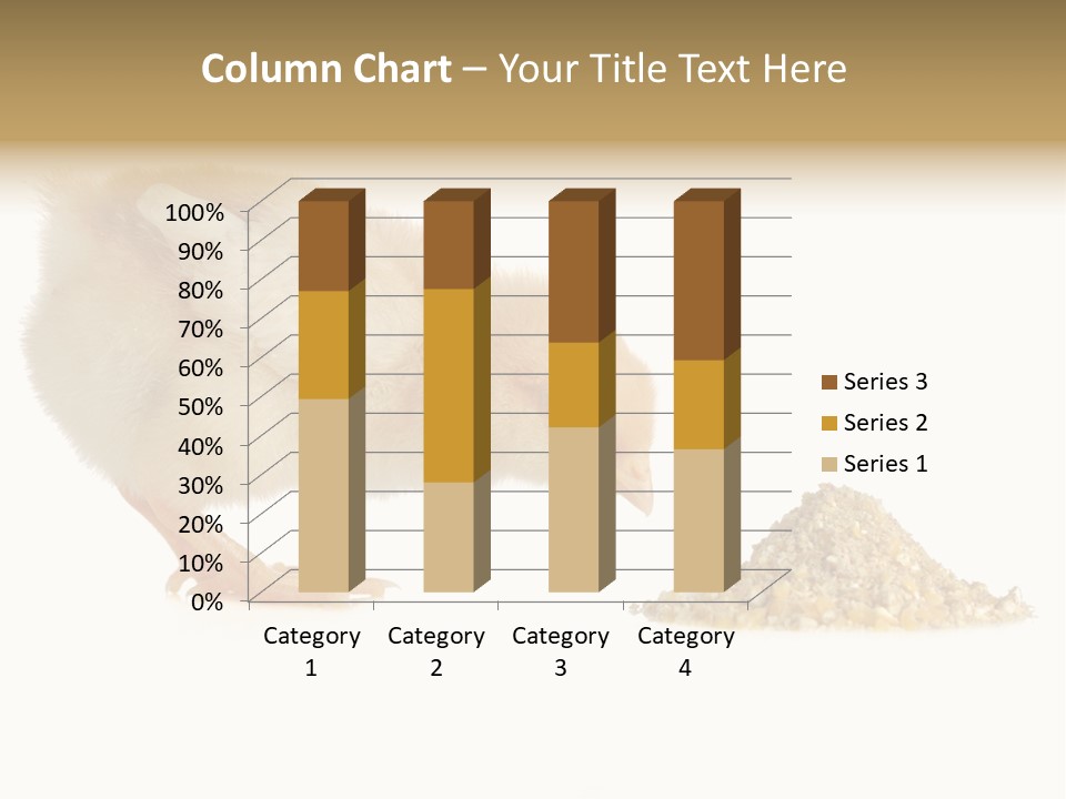 Fleecy Hen Hairy PowerPoint Template
