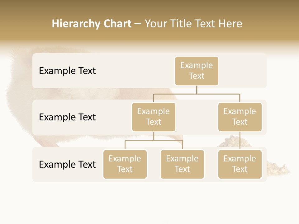 Fleecy Hen Hairy PowerPoint Template