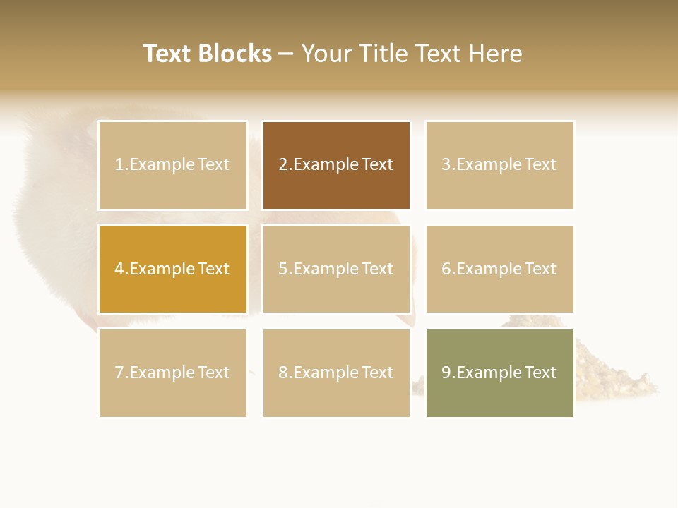 Fleecy Hen Hairy PowerPoint Template