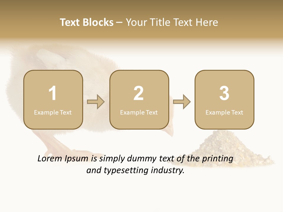 Fleecy Hen Hairy PowerPoint Template