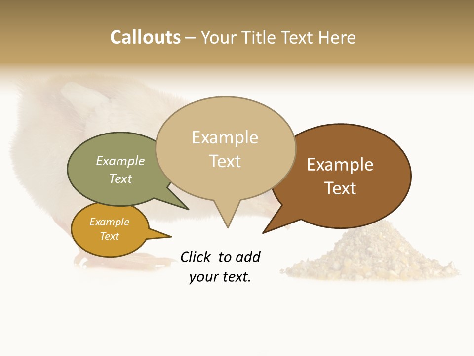 Fleecy Hen Hairy PowerPoint Template