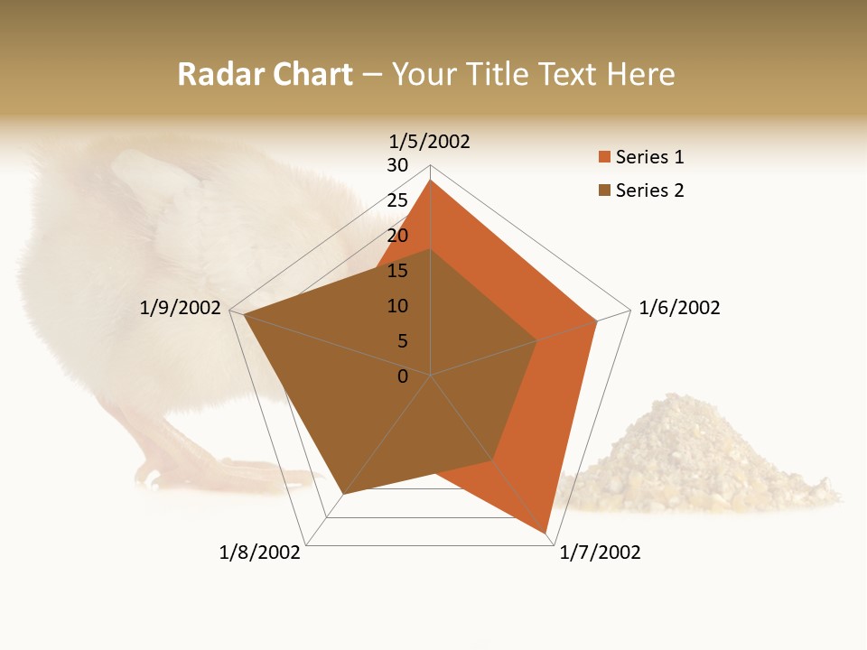 Fleecy Hen Hairy PowerPoint Template