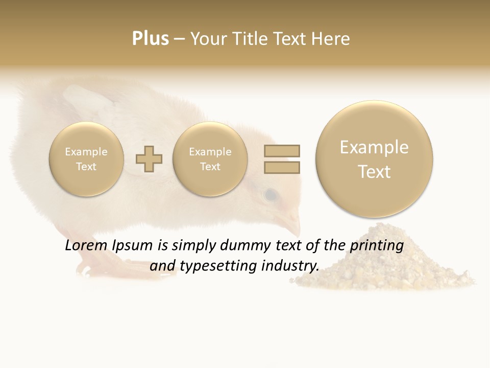 Fleecy Hen Hairy PowerPoint Template