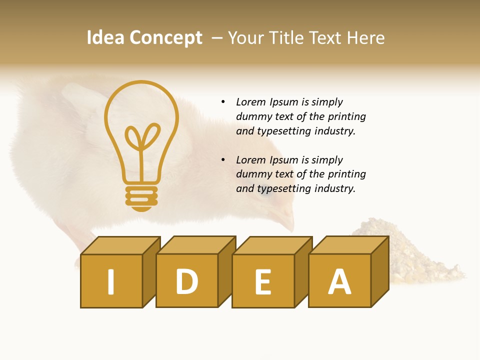 Fleecy Hen Hairy PowerPoint Template