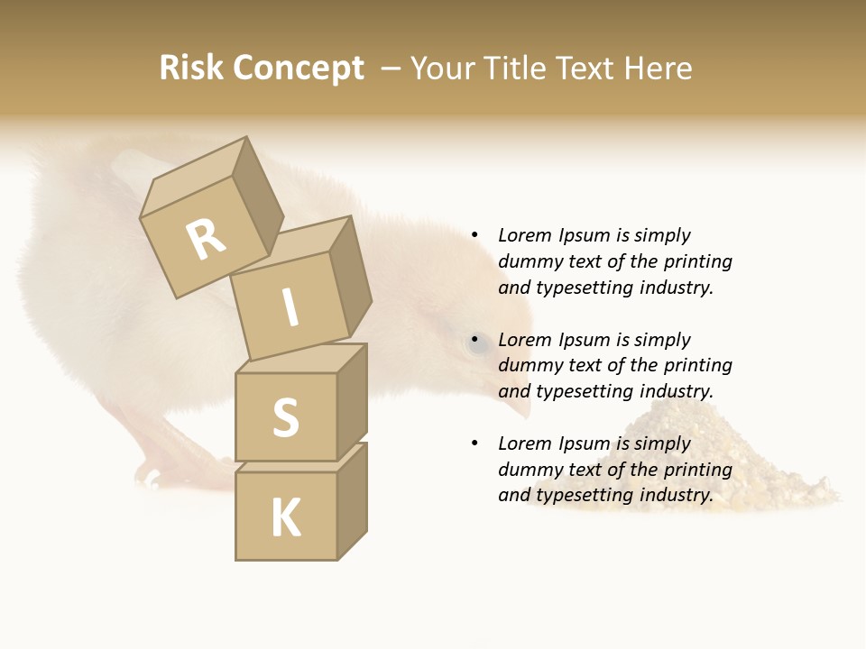 Fleecy Hen Hairy PowerPoint Template