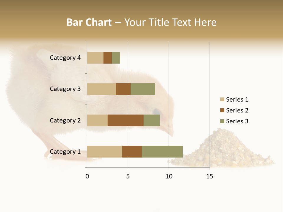Fleecy Hen Hairy PowerPoint Template