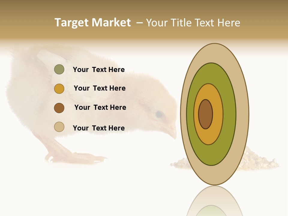 Fleecy Hen Hairy PowerPoint Template