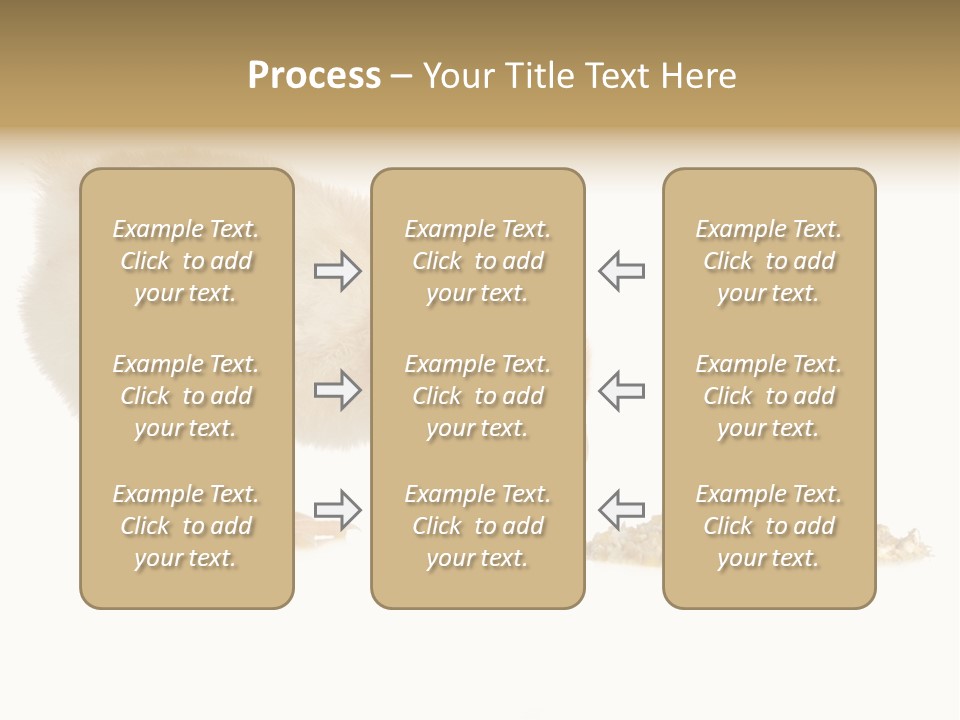 Fleecy Hen Hairy PowerPoint Template