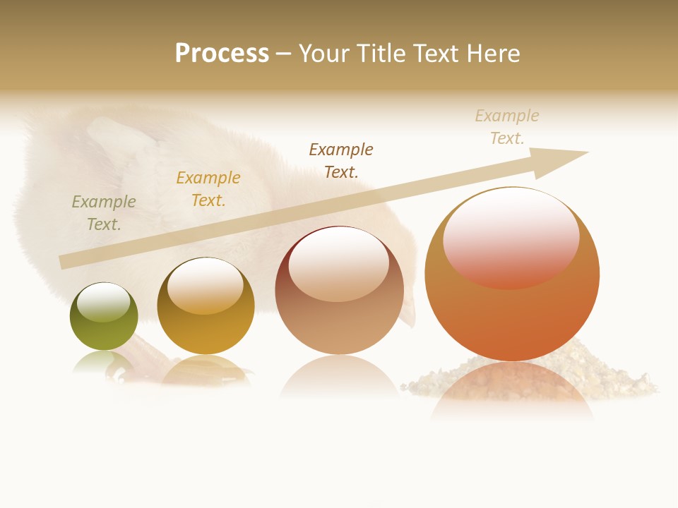 Fleecy Hen Hairy PowerPoint Template