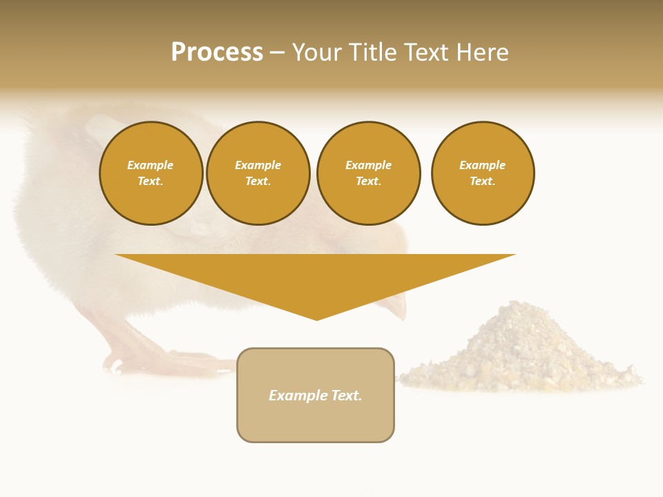 Fleecy Hen Hairy PowerPoint Template