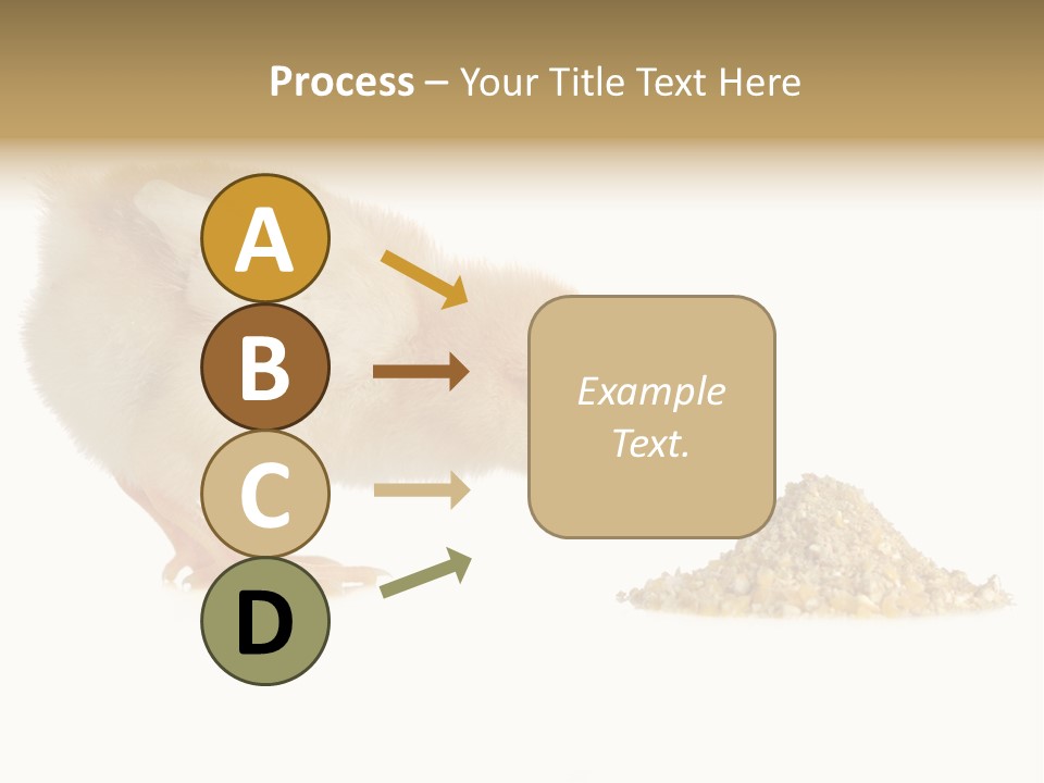 Fleecy Hen Hairy PowerPoint Template