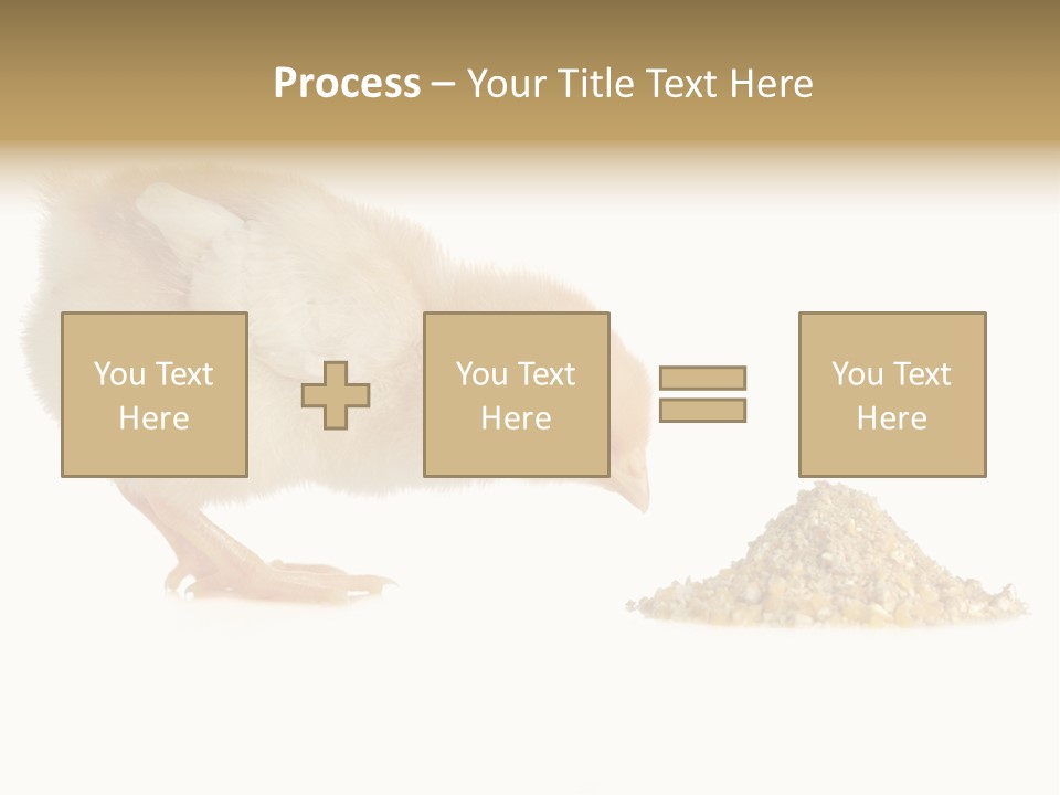 Fleecy Hen Hairy PowerPoint Template