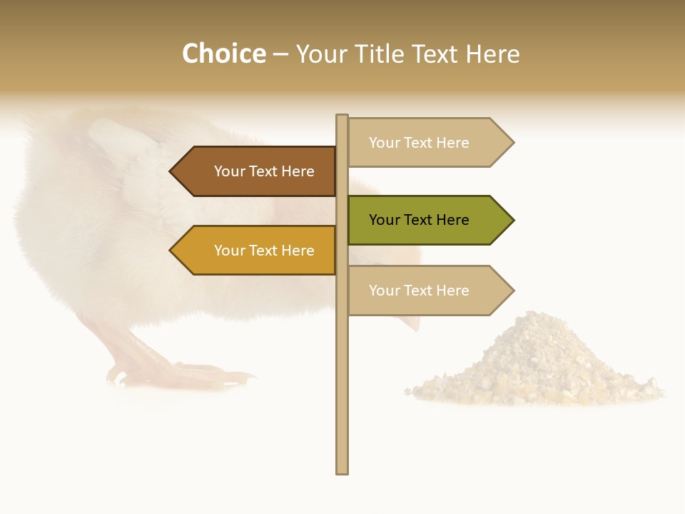 Fleecy Hen Hairy PowerPoint Template