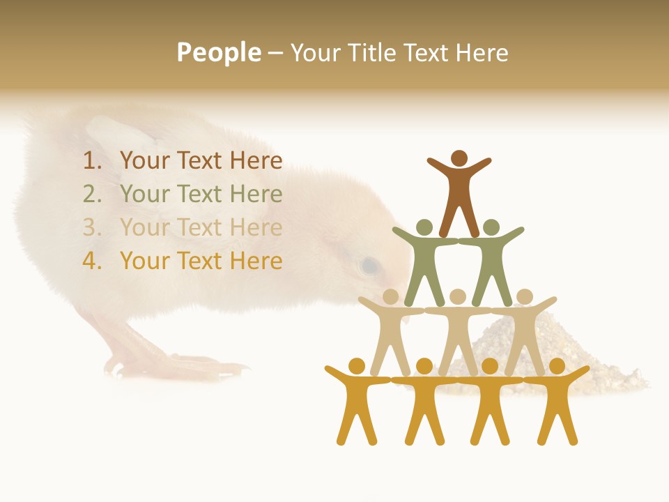 Fleecy Hen Hairy PowerPoint Template