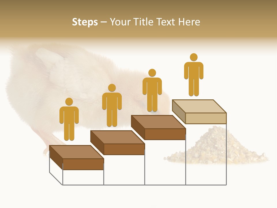 Fleecy Hen Hairy PowerPoint Template