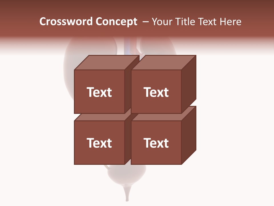 People Care Pregnant PowerPoint Template