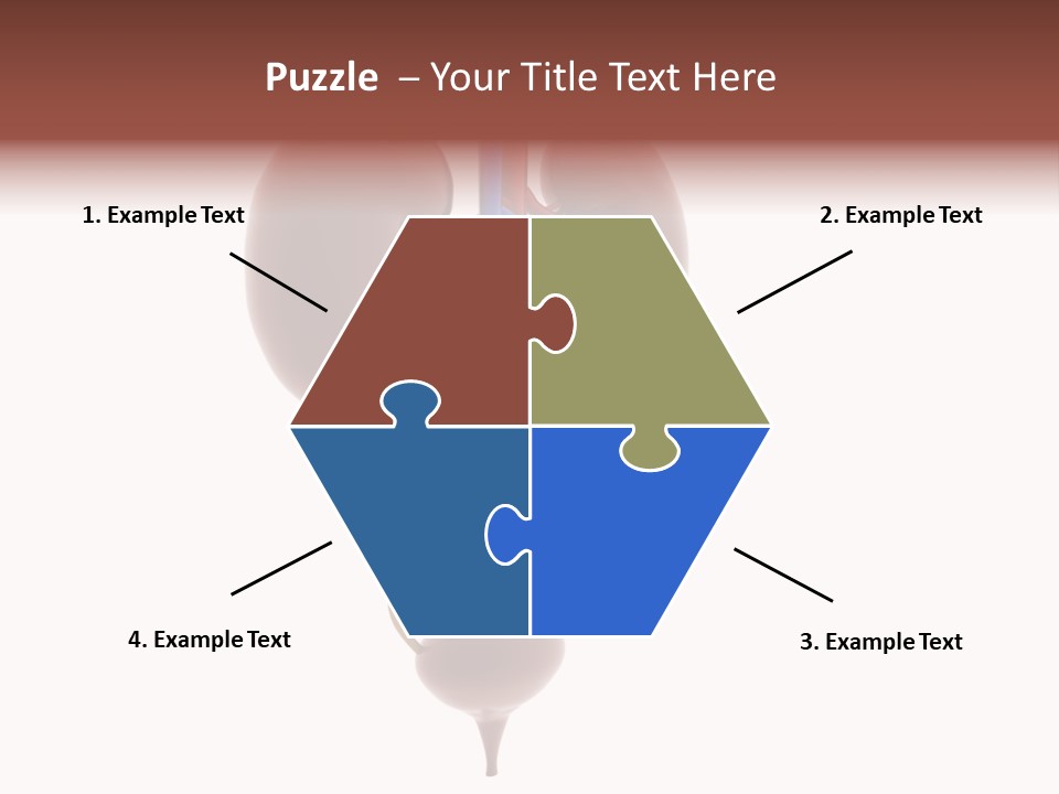 People Care Pregnant PowerPoint Template