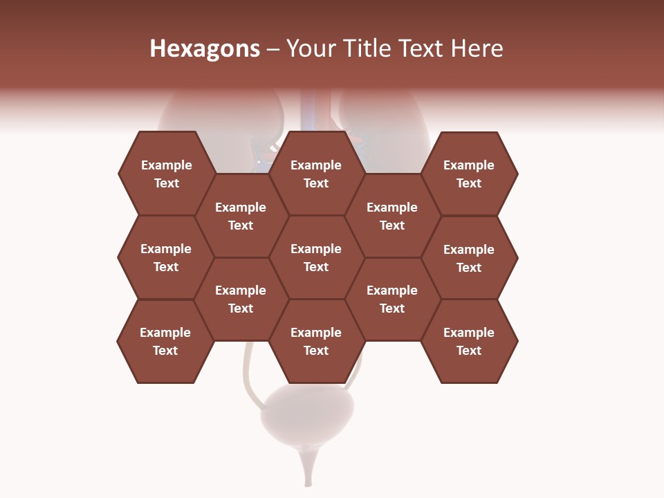 People Care Pregnant PowerPoint Template