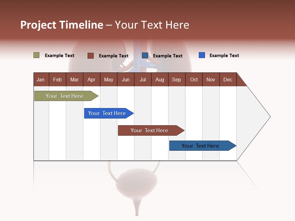 People Care Pregnant PowerPoint Template