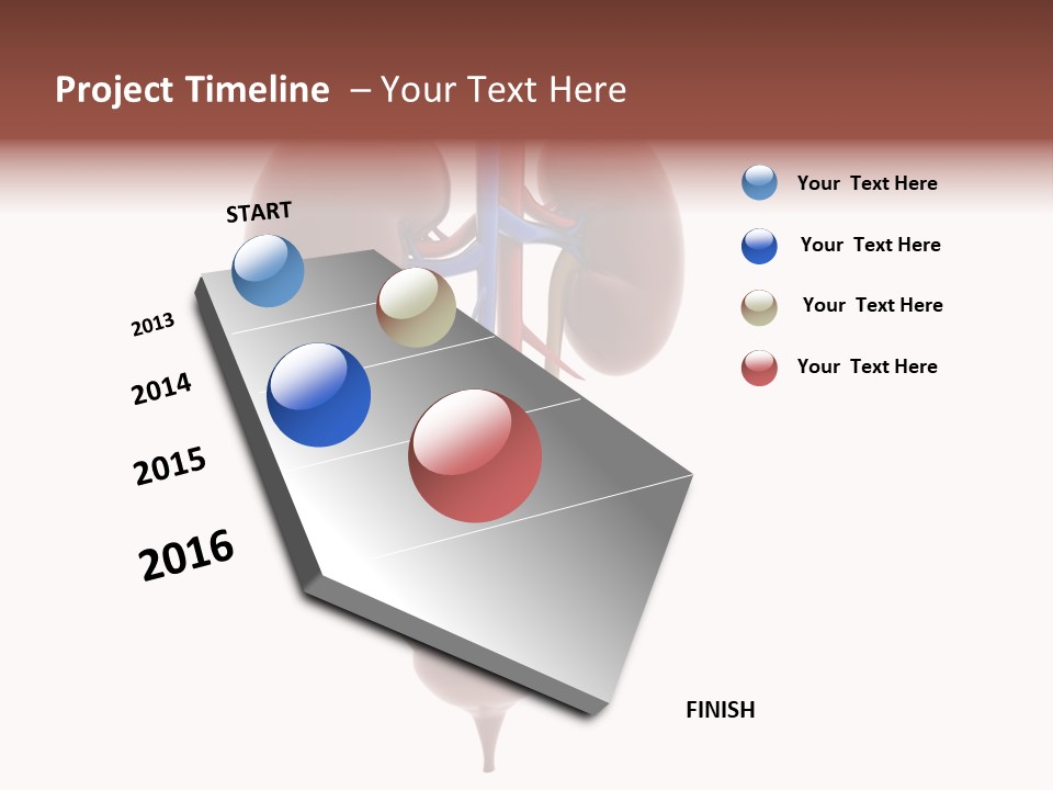 People Care Pregnant PowerPoint Template