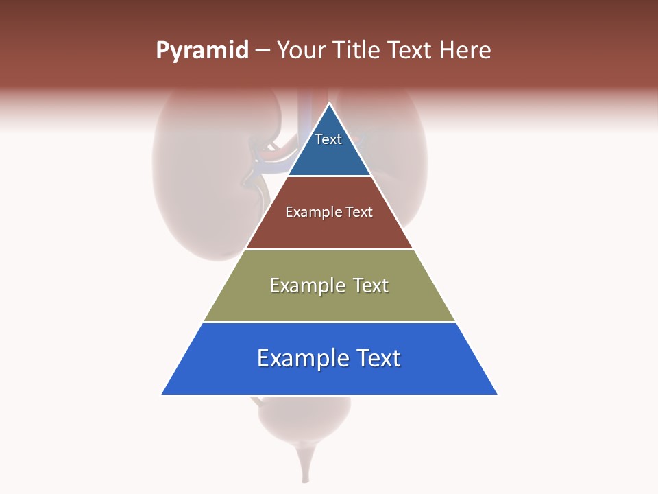 People Care Pregnant PowerPoint Template