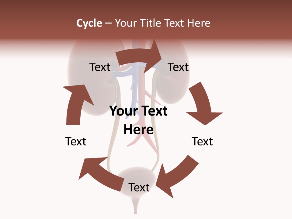 People Care Pregnant PowerPoint Template
