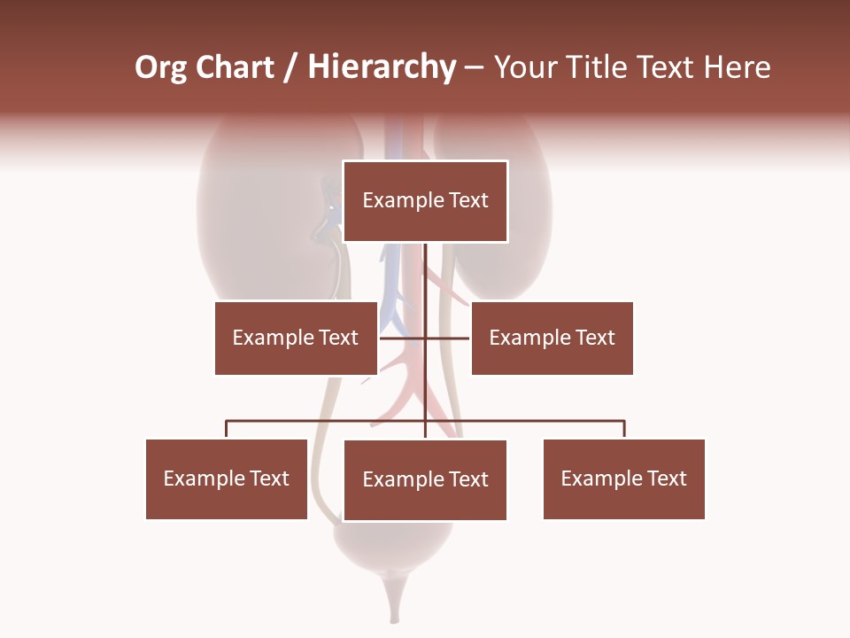 People Care Pregnant PowerPoint Template