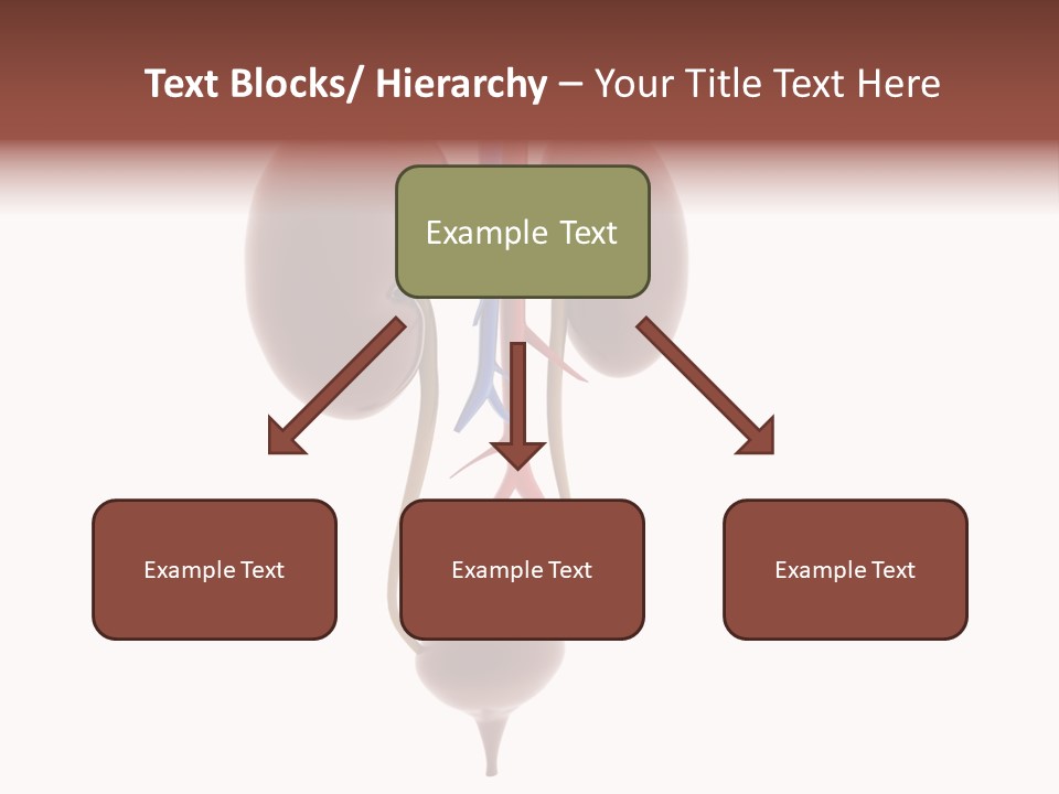 People Care Pregnant PowerPoint Template