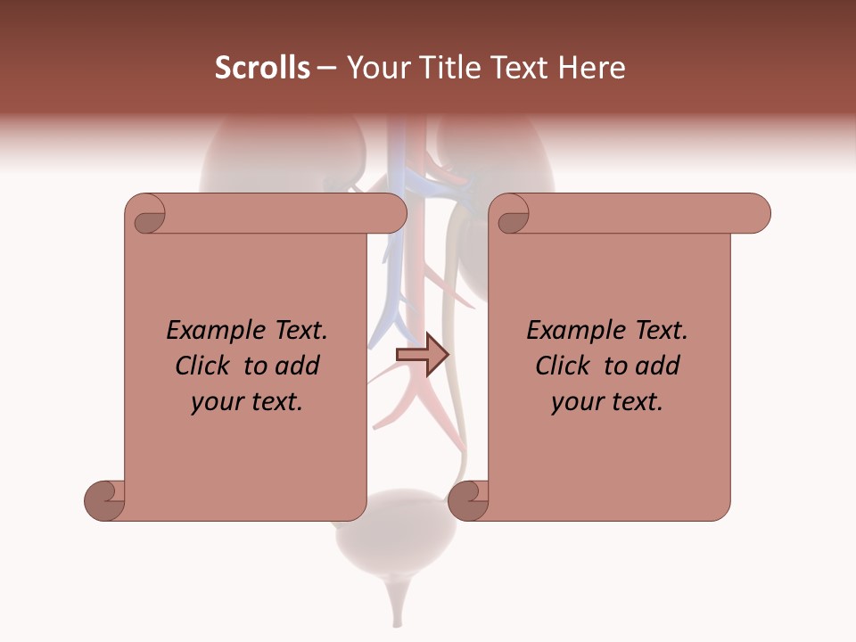 People Care Pregnant PowerPoint Template