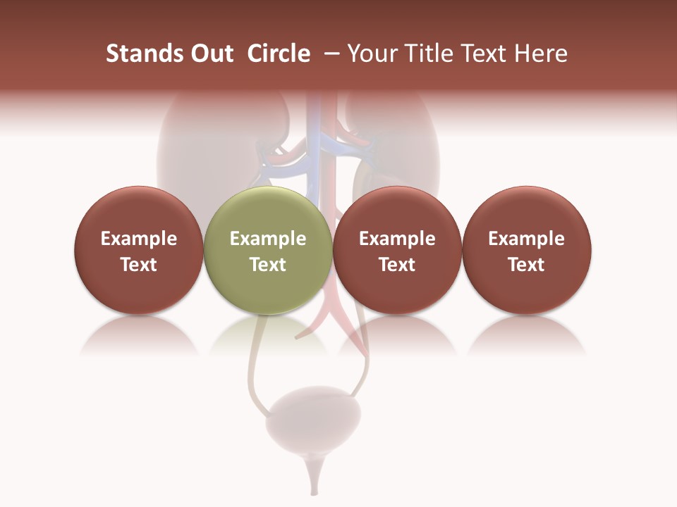 People Care Pregnant PowerPoint Template