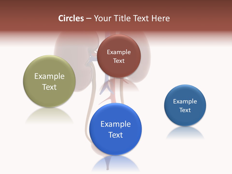 People Care Pregnant PowerPoint Template