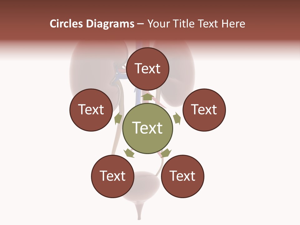 People Care Pregnant PowerPoint Template