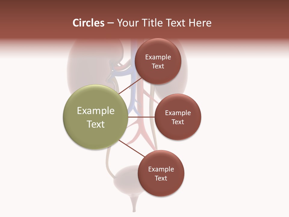 People Care Pregnant PowerPoint Template