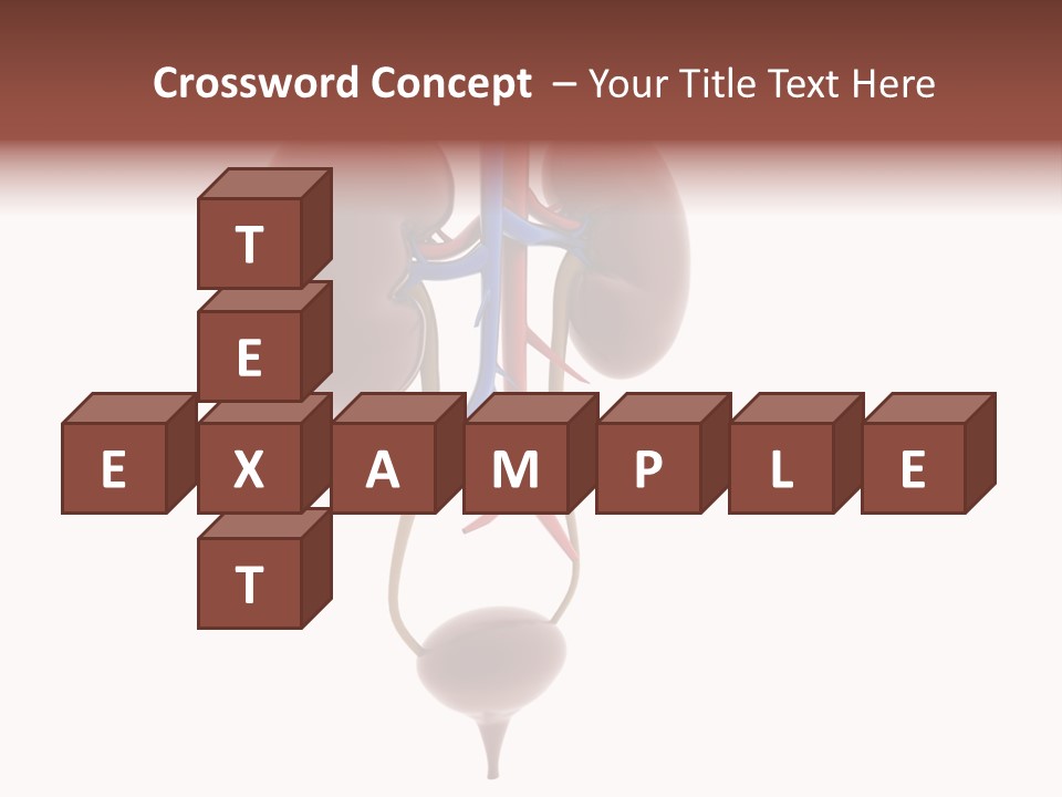 People Care Pregnant PowerPoint Template