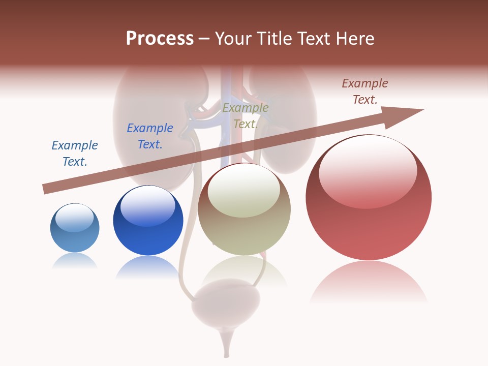 People Care Pregnant PowerPoint Template