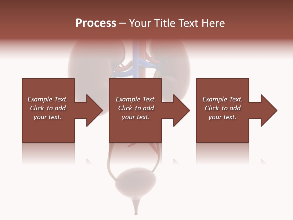 People Care Pregnant PowerPoint Template