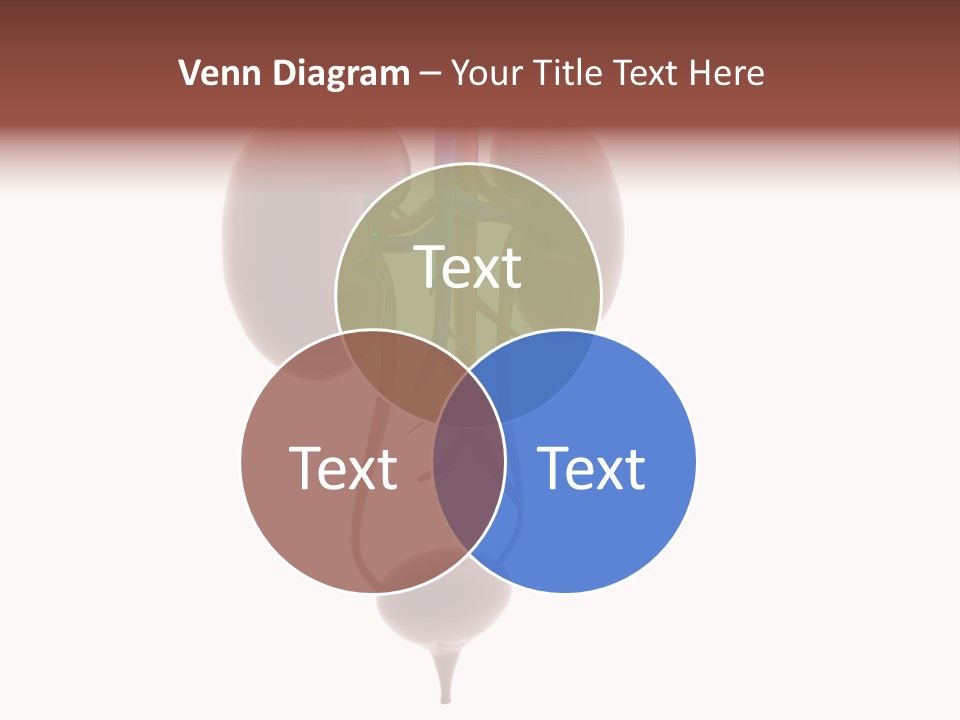 People Care Pregnant PowerPoint Template