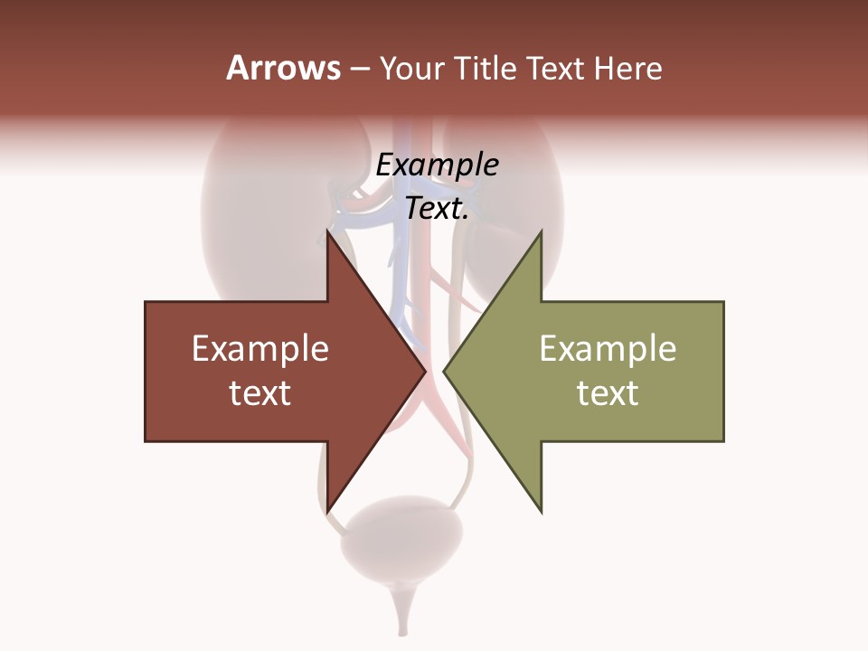 People Care Pregnant PowerPoint Template